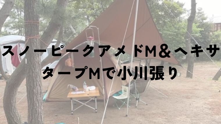 【雨キャンプ対策】スノーピークアメニティドームMとヘキサタープ